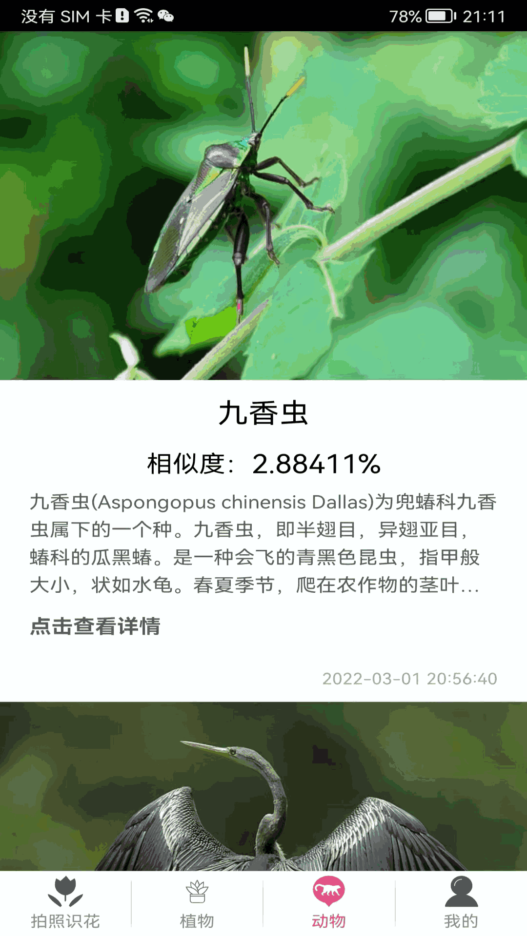 拍照识花神器